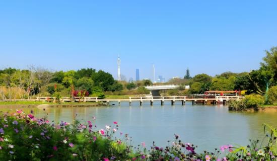 湿地景区生态因子监测系统方案 保障景区生态系统健康可持续发展